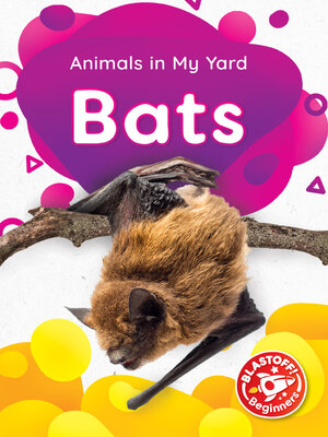 cover image of Bats